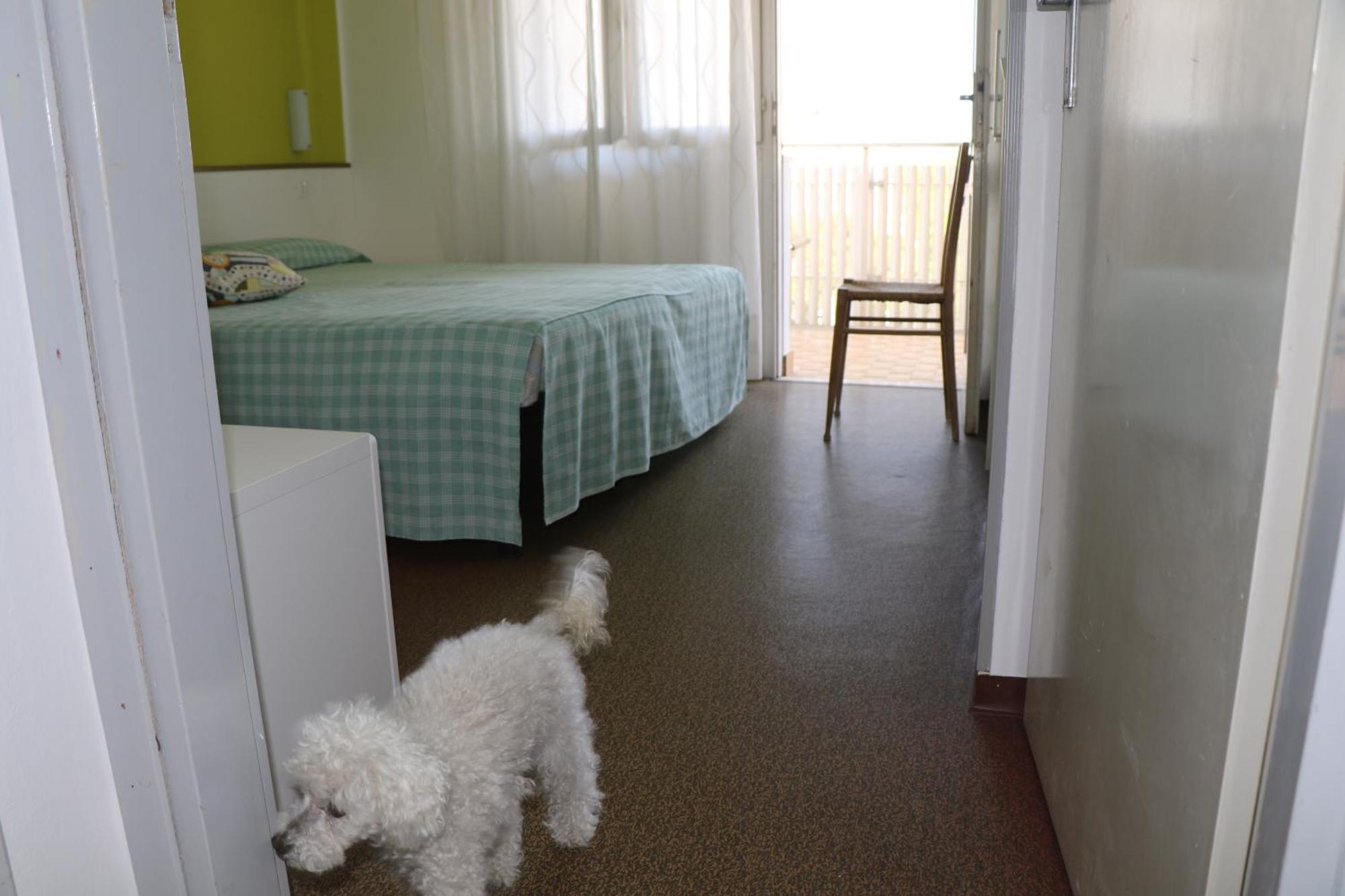 Villa Silente L Bibione Bagian luar foto